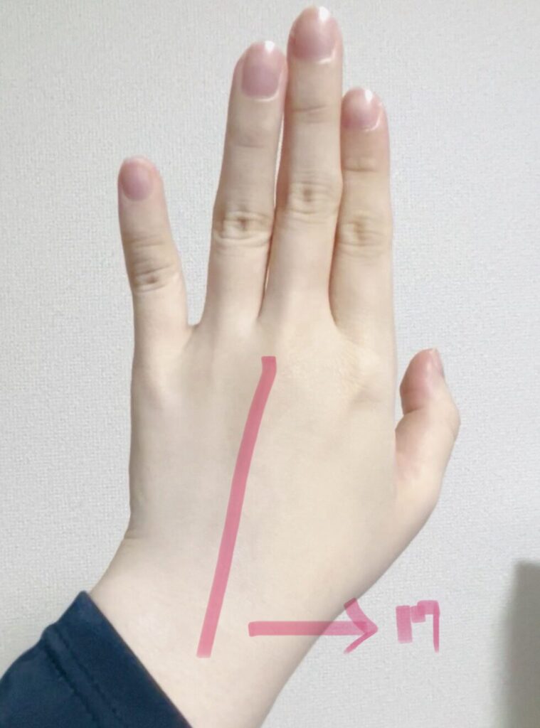 BANILA COホワイトクッション
カバー力　１７