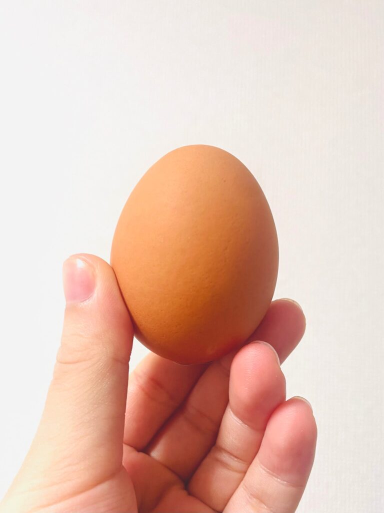 卵_本品_プロテインが苦手な私のおすすめ♡手軽にタンパク質が摂れる食べ物|コンビニ・スーパーで買える!_iNaの日記帳